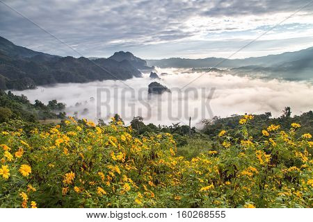 Morning fog on sunrise in the Phulanka, Phayao