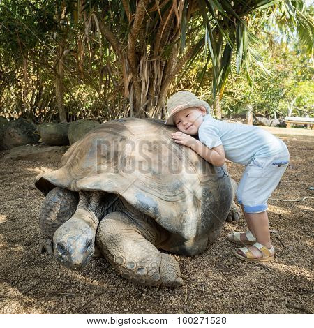 Child huggging Aldabra giant tortoise. Mauritius
