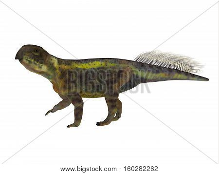 Psittacosaurus Dinosaur Side Profile 3D Illustration - Psittacosaurus was a Ceratopsian herbivorous dinosaur that lived in Asia in the Cretaceous Period.
