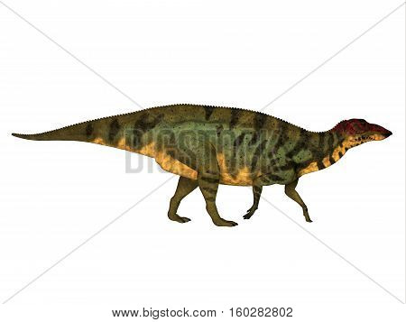 Shuangmiaosaurus Side Profile 3D Illustration - Shuangmiaosaurus was a herbivorous iguanodont dinosaur that lived in China in the Cretaceous Period.