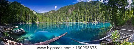Natural landscape.  Panorama view of the lake Small Ritsa. Trees reflecting in the blue from lapis lazuli water. Ritsa National Park, Abkhazia, Georgia