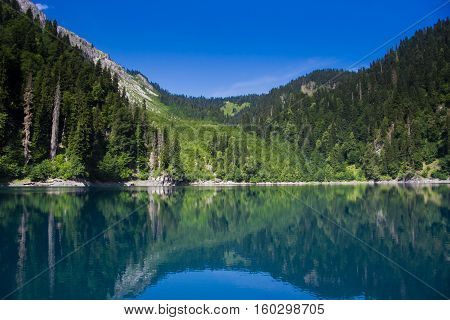 Natural landscape.  Panorama view of the lake Small Ritsa. Trees reflecting in the blue from lapis lazuli water. Ritsa National Park, Abkhazia, Georgia