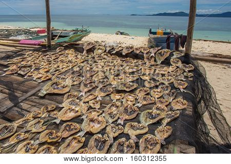 Traditional salted fish drying on racks in Semporna,Sabah,Borneo.Bajau Laut or Sea Gypsy sell their surplus catch as dried and salted fish through nearest town in Semporna,Sabah.