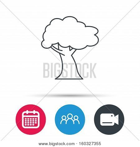 Oak tree icon. Forest wood sign. Nature environment symbol. Group of people, video cam and calendar icons. Vector