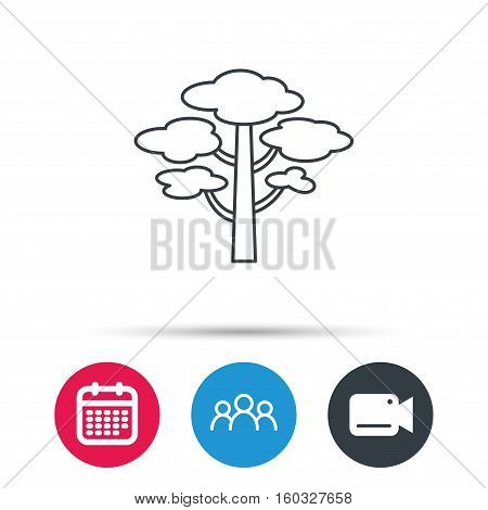 Pine tree icon. Forest wood sign. Nature environment symbol. Group of people, video cam and calendar icons. Vector