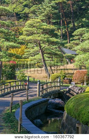 Japanese bridge in botanical garden at Japan