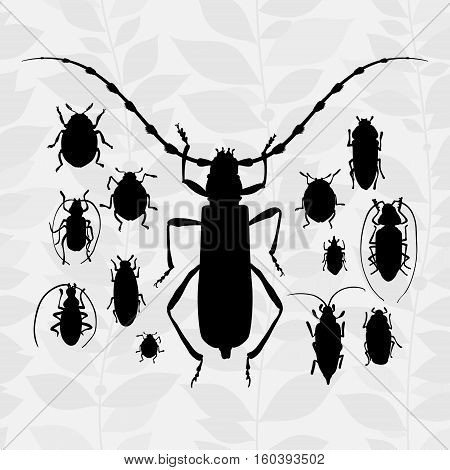 Contrast Vector Set With Silhouette Of Bugs.