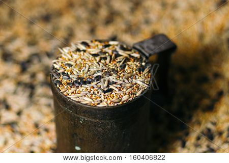 Birdseed grain poured in a vintage mug. Seeds, Grains, Pet Foods, Grains