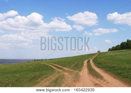 Summer Landscape