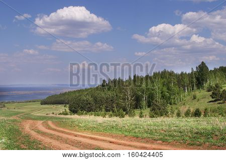 Summer Landscape