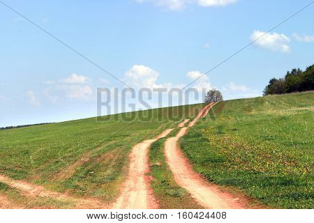 Summer Landscape