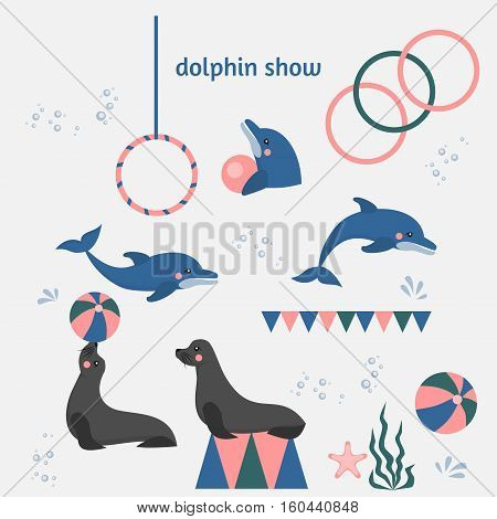 dolphin show dolphinarium, sea lion, seal, aqua circus and ocian animal