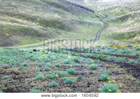 Gravel Road