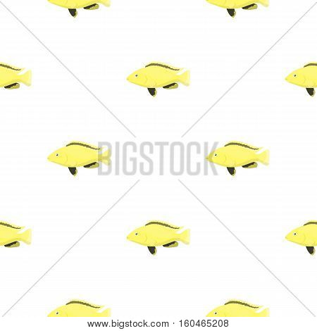 Cichlid hummingbird fish icon cartoon. Singe aquarium fish icon from the sea, ocean life cartoon.