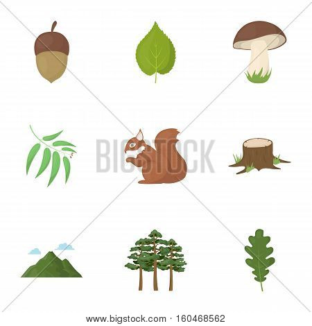 Forest set icons in cartoon style. Big collection of forest vector symbol stock