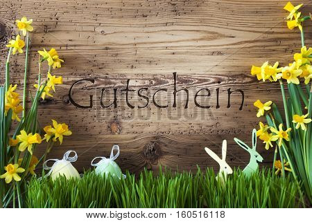 Wooden Background With German Text Gutschein Means Voucher. Easter Decoration Like Easter Eggs And Easter Bunny. Yellow Spring Flower Narcisssus With Gras. Card For Seasons Greetings