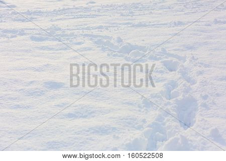 Close Up Of Footmarks In Fresh Snow