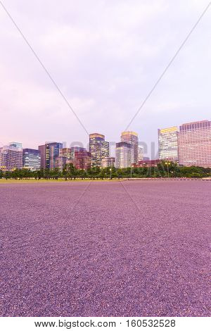 Tokyo Downtown Marunouchi City Skyline Dusk V
