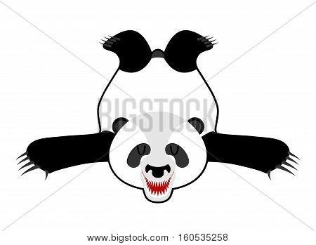 Bearskin Panda. Chinese Bear Skin. Hunter Trophy Isolated. Fur Carpet.