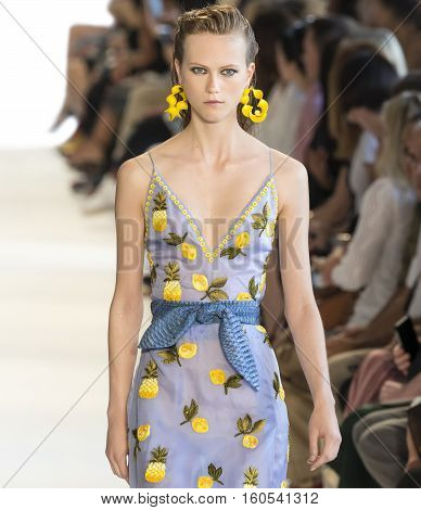 Altuzarra - Spring 2017 Collection