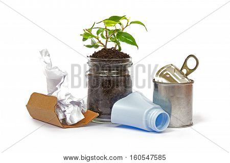 Diversified and separate harvest on white background