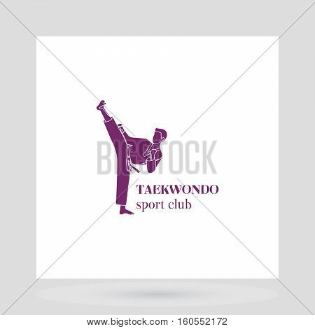 Taekwondo sport club logo design presentation on white. Vector illustration