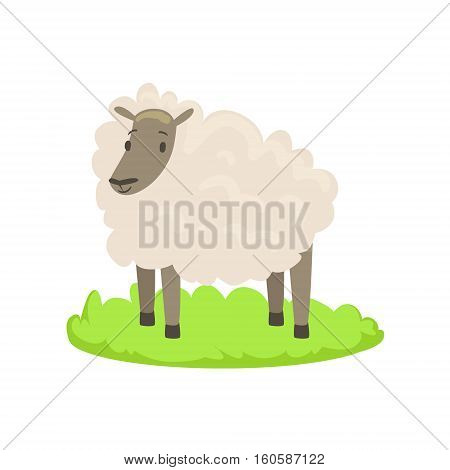 Sheep Farm Animal Cartoon Farm Related Element On Patch Of Green Grass. Colorful Vector Illustration With Farming And Rancho Associated Isolated Object.