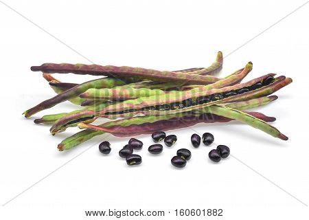 red beans podbush beans (phaseolus vulgarism) isolated on the white background