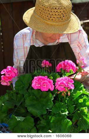Mujer Senior jardinería