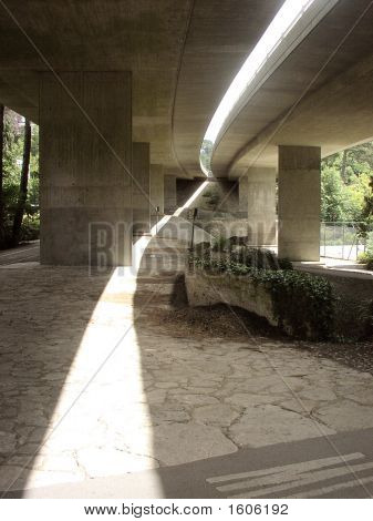 Jungla de asfalto