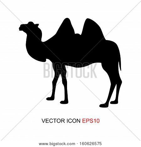 Camel, vector icon, logo, icon flat. Vector illustration.