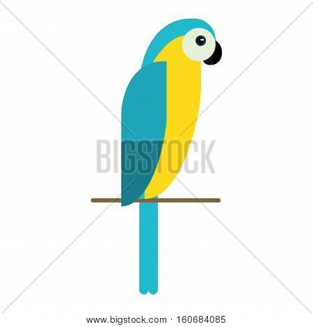 blue and yellow macaw parrot brazil vector illustration eps 10