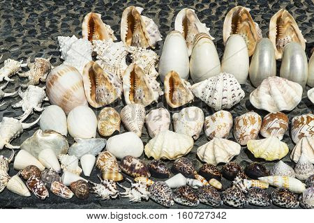 Seashells souvenirs for sale on the stand in Kuta Beach Bali Indonesie.