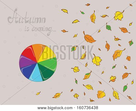 Illustration of a rainbowy umbrella and colored leaves. Plan view