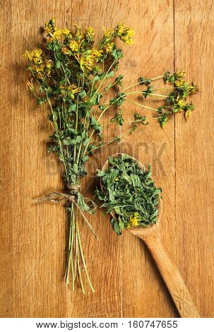 Tutsan. Dried herbs for use in alternative medicine spa herbal cosmetics herbal medicine preparing infusions decoctions tinctures powders ointments butter tea bath.