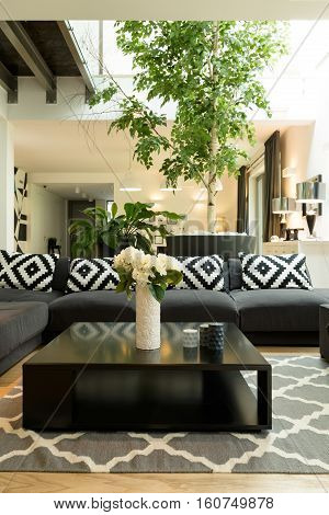 Room With Sofa, Plants And Skylight