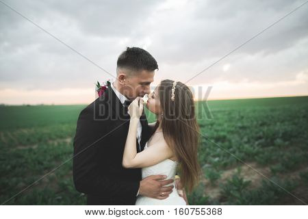 Beautiful wedding couple, love on the sunset. Fielf with flowers.