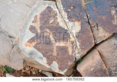 The petroglyphs of El Pintado on Quebrada de Humahuaca Argentina