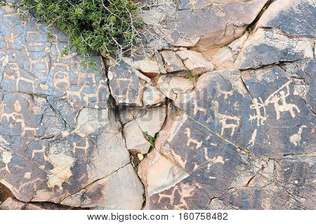 The petroglyphs of El Pintado on Quebrada de Humahuaca Argentina