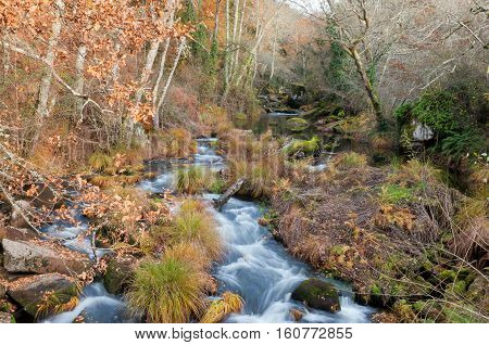Arenteiro River