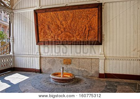 Hot Spring At Market Colonnade Karlovy Vary