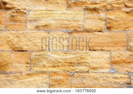 Shell Rock Wall Background