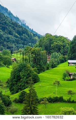 Chalets At Brienz Village And Brienzer Rothorn Mountain Bern Switzerland