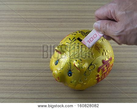 gold piggy bank of pig on wood desk