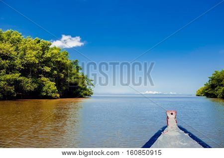 Caroni River mouth boat ride open sea through mangroves