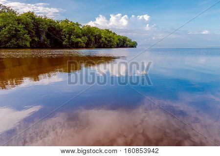 Caroni River mouth open sea through mangroves
