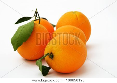 The best and highest quality high-resolution bigstock orange paintings for advertising agencies and design companies