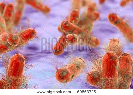 Destruction of tuberculosis bacteria, 3D illustration. Conceptual image for tuberculosis treatment