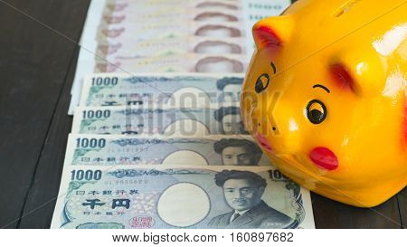 Saving money by Piggy Bank. Piggy bank yellow pig piggy bank Strarting saving money to Wealth.