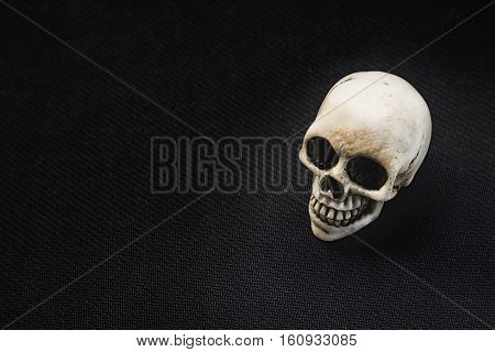 Human head skull, on black background, Still Life style